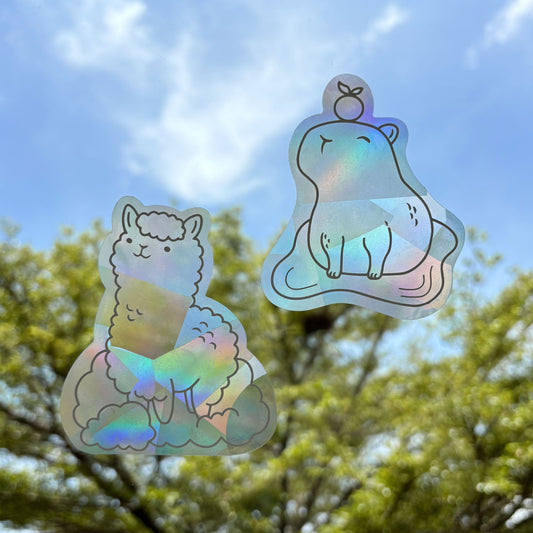 How to Install Suncatcher Decals: A Simple Guide to Capturing Indoor Rainbows