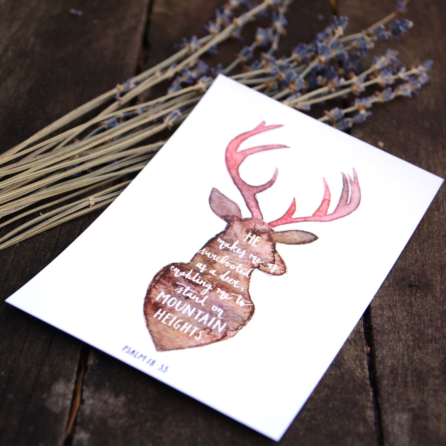 Animal Silhouettes | Inspirational Postcards