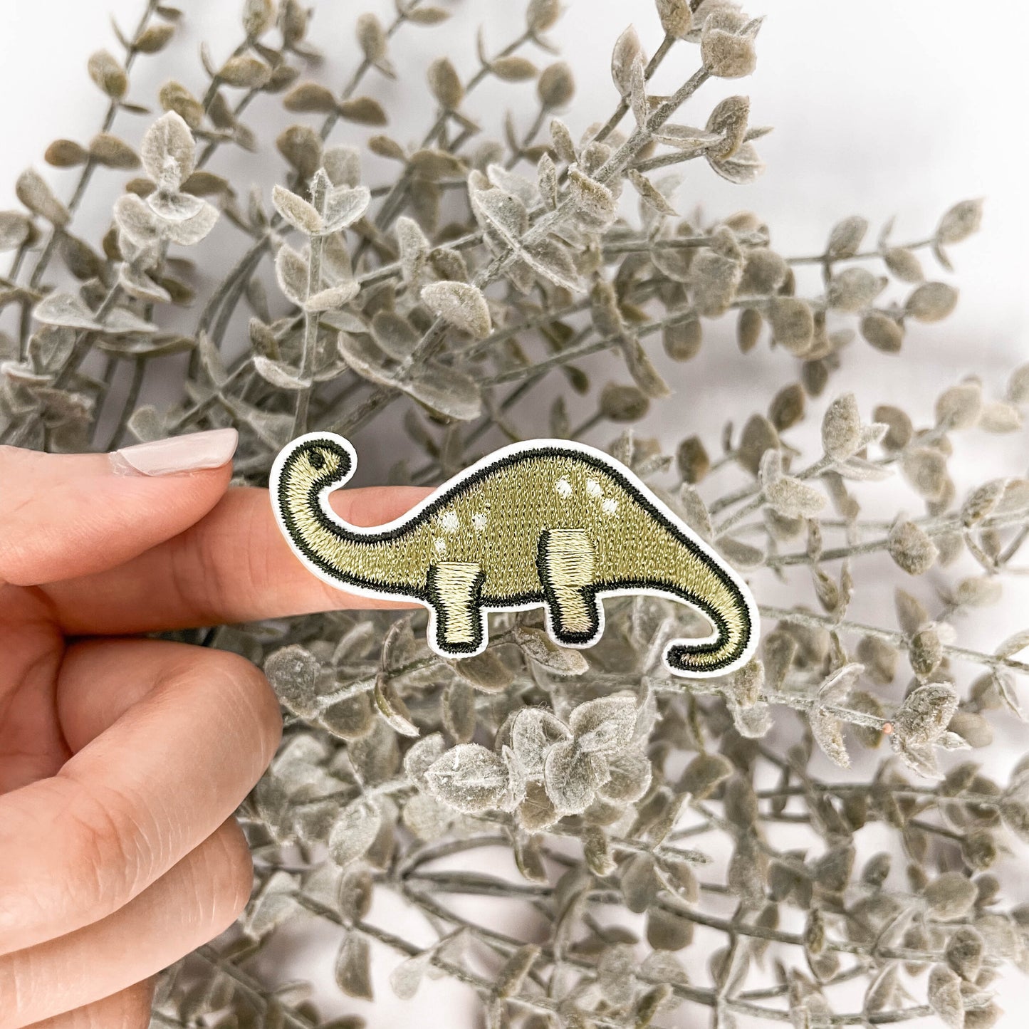 Jurassic Pals | Dino Embroidery Iron-on Patch