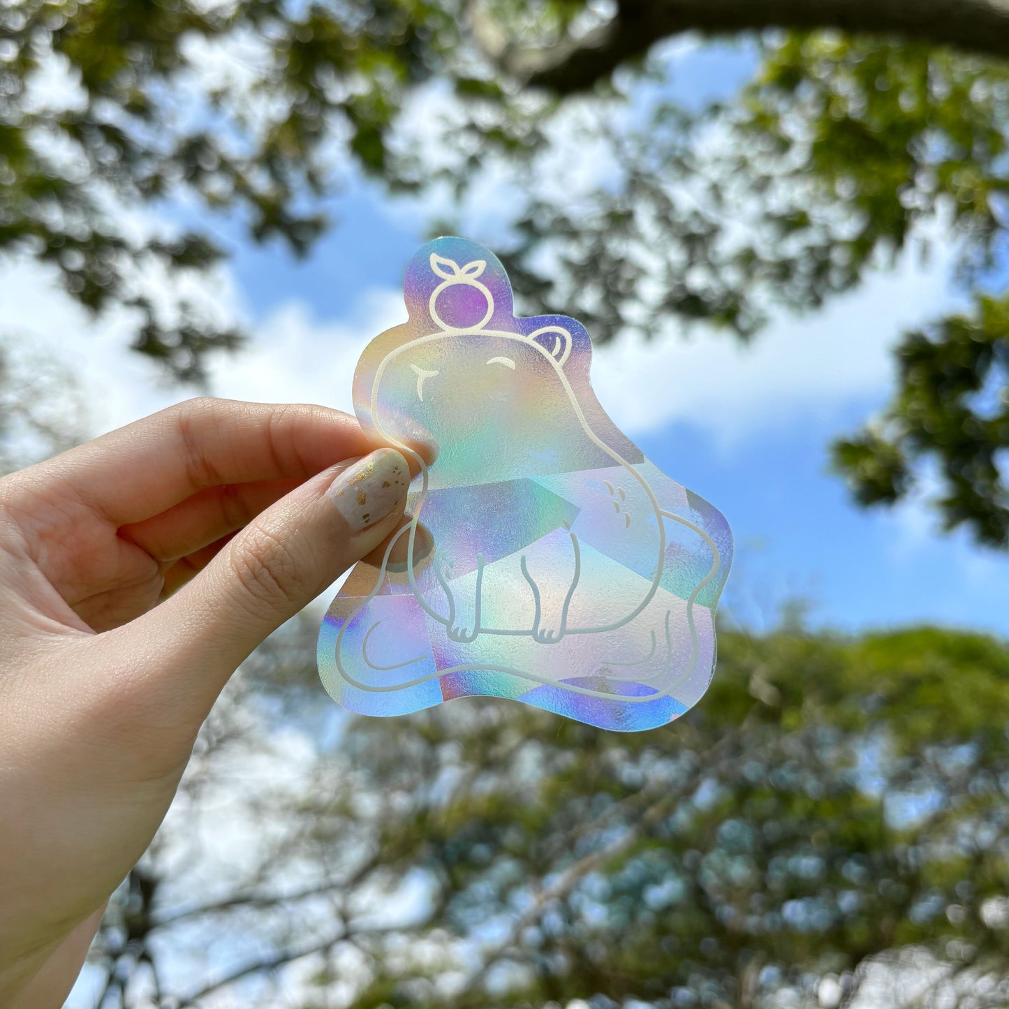 Capybara Suncatcher | Rainbow Window Decal