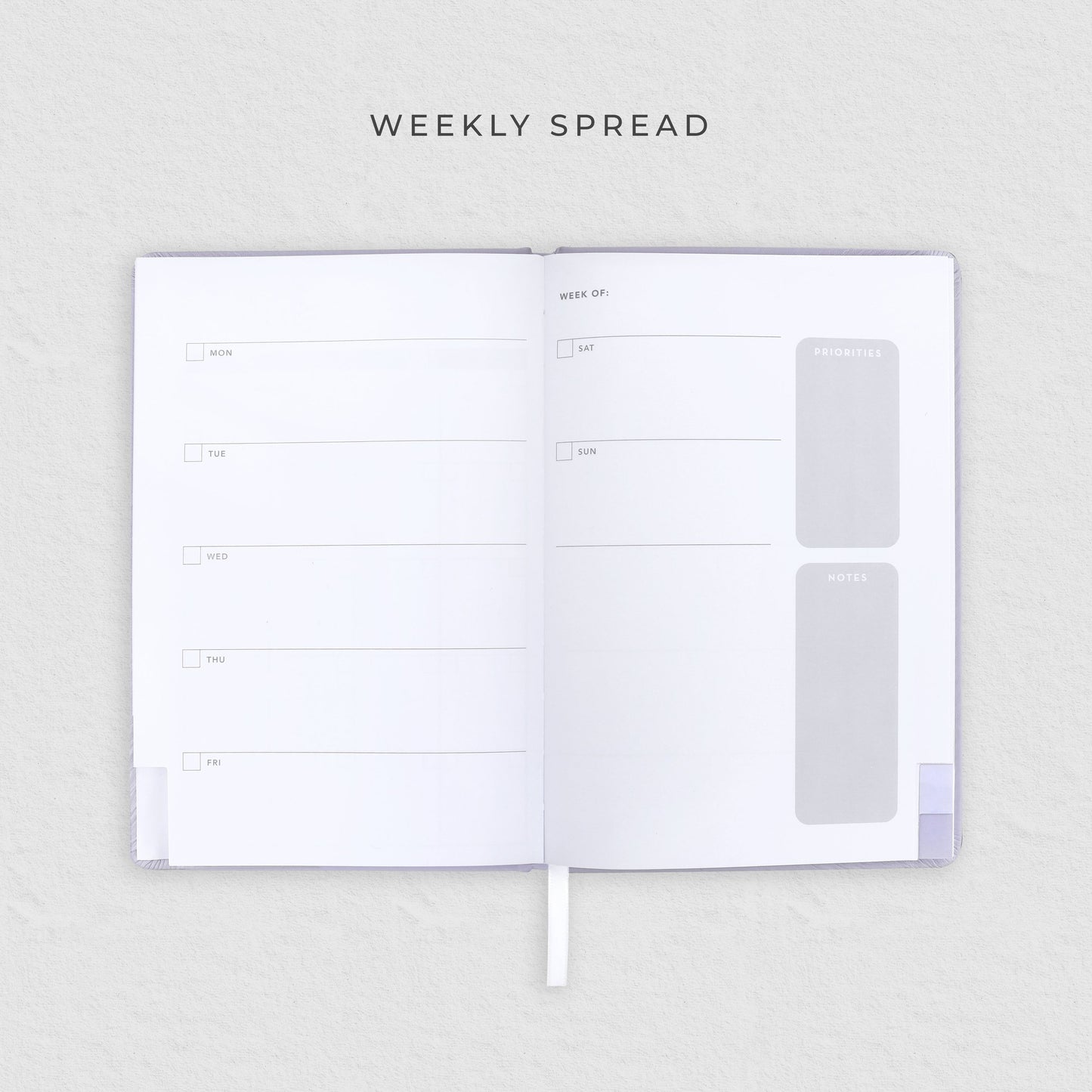 Daydream | Undated 12-Month Planner