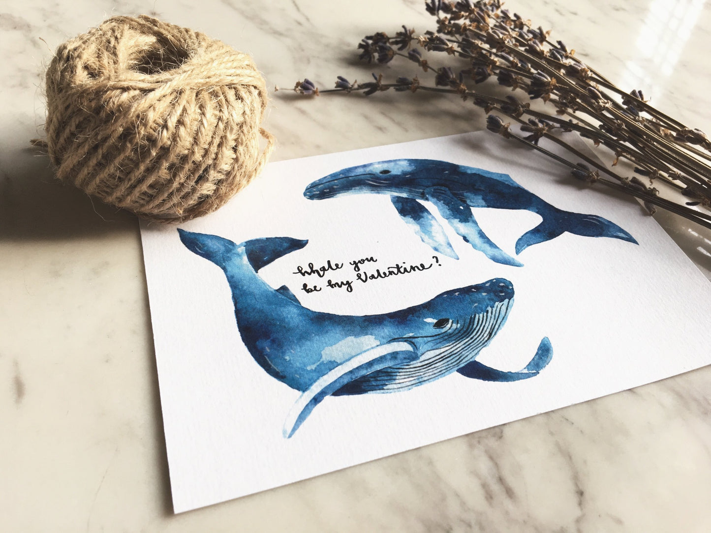 Whale You be My Valentine | Greeting Card
