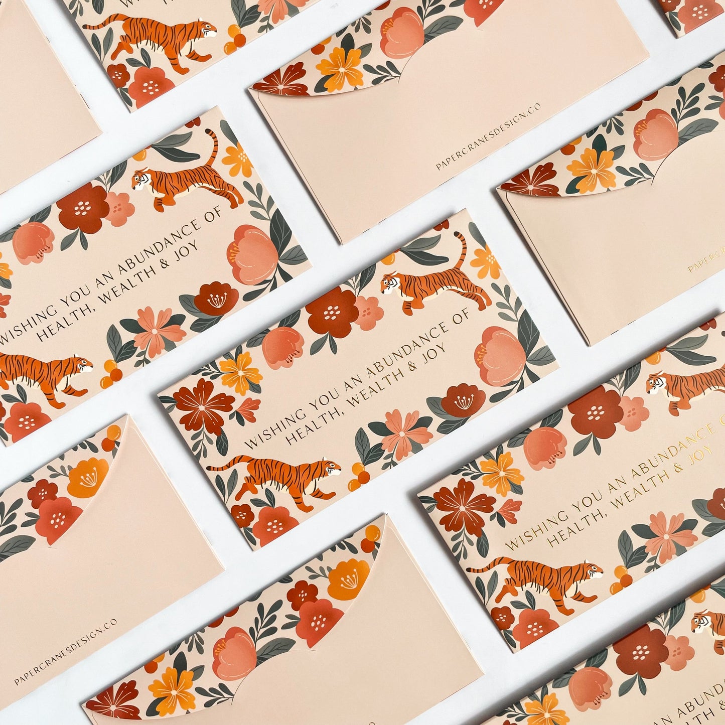 Feline Fiesta Money Packets