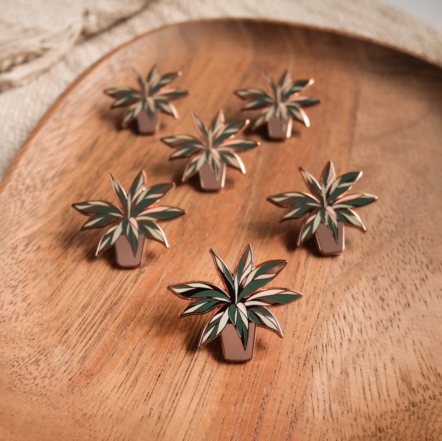 Calathea Triostar | Botanica Enamel Pin
