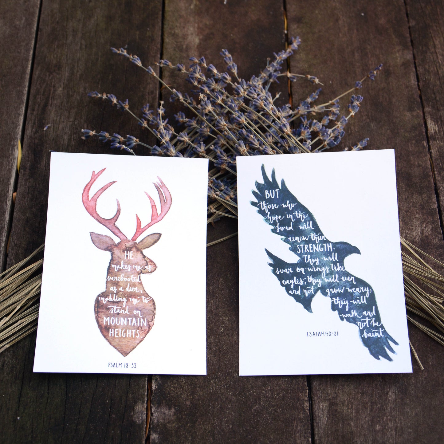 Animal Silhouettes | Inspirational Postcards