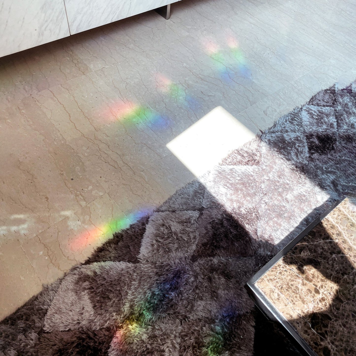 Tropicana Suncatcher | Rainbow Window Decal