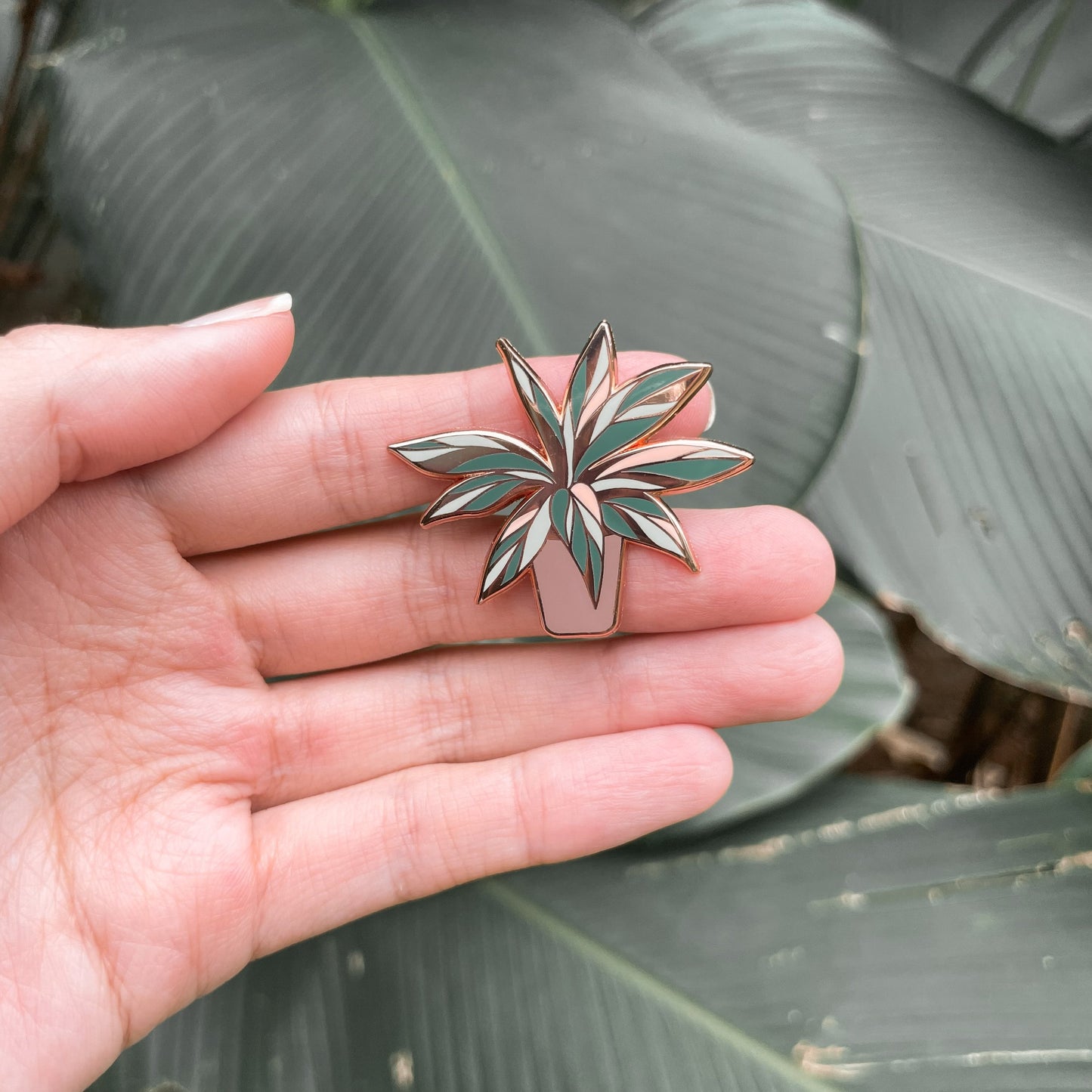 Calathea Triostar | Botanica Enamel Pin