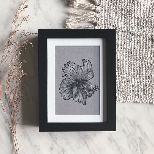 Framed Botanical Illustrations | Hibiscus